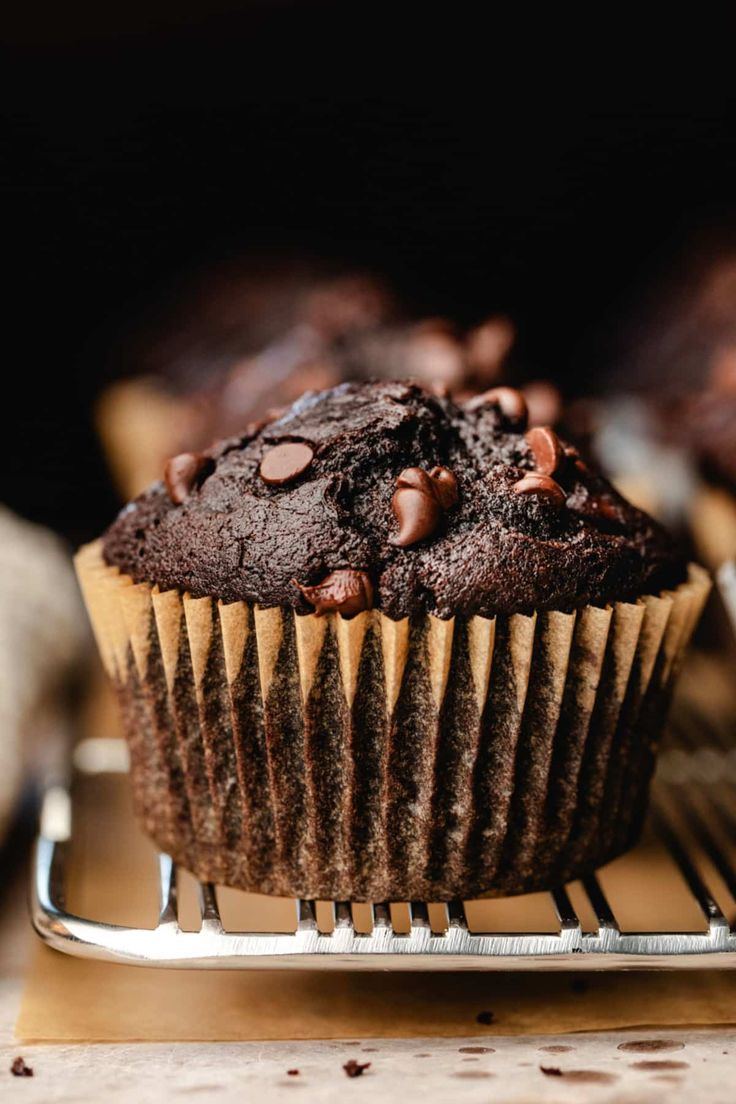 Chocolate Chip Muffins